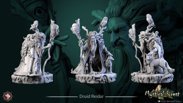Druid Reidar